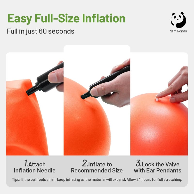 Slim Panda Pilates Ball, 9 Inch Small Exercise Ball, Anti Burst Mini Yoga Ball for Stability, Workout, Barre, Core Strength, Physical Therapy, Balance, Stretching - Image 4